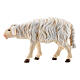 White sheep looking forward, 9 cm nativity Rainell, in painted Valgardena wood s3