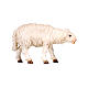 Standing sheep looking ahead in painted wood from Val Gardena for Rainell Nativity Scene 11 cm s1