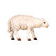 Mouton tête en avant bois peint crèche Rainell Val Gardena 11 cm s1