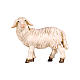 Standing sheep looking left, 11 cm nativity Rainell, in painted wood s1