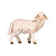 Mouton debout tête à droite bois peint crèche Rainell Val Gardena 9 cm s1