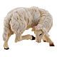 Sheep scratching itself in painted wood from Val Gardena for Rainell Nativity Scene 9 cm s2