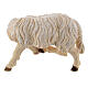 Sheep scratching itself in painted wood from Val Gardena for Rainell Nativity Scene 9 cm s3