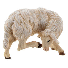 Mouton qui se gratta bois peint crèche Rainell Val Gardena 9 cm