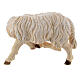 White sheep scratching, 9 cm nativity Rainell, in painted Valgardena wood s3