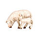 White sheep eating with lamb, 9 cm nativity Rainell, in painted Val Gardena wood s1