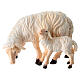 Pecora mangia con agnello legno dipinto Val Gardena presepe Rainell 11 cm s1