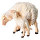 Sheep eating with lamb, 11 cm nativity Rainell, in painted Val Gardena wood s4