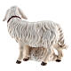 Grupo ovelhas madeira pintada presépio Val Gardena Rainell com peças altura média 9 cm s4
