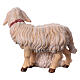 Groupe moutons bois peint crèche Rainell Val Gardena 11 cm s3
