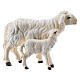 Pecora e agnello in piedi legno dipinto Val Gardena presepe Rainell 11 cm s1