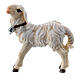 Standing lamb in painted wood from Val Gardena for Rainell Nativity Scene 11 cm s1