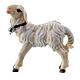 Agnello in piedi legno dipinto Val Gardena presepe Rainell 11 cm s1