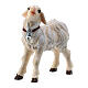 Agnello in piedi legno dipinto Val Gardena presepe Rainell 11 cm s2