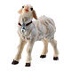 Standing lamb, 11 cm nativity Rainell, in painted Val Gardena wood s2