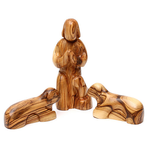 Set Natividad 12 piezas de madera de olivo de Belén 22 cm 4