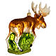 Blown glass Christmas ornament, American moose s5