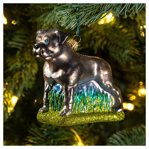 Amerikanische Bulldogge, Weihnachtsbaumschmuck aus mundgeblasenem Glas 2