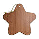 Star-shaped Christmas ornament with Nativity and animals, 3x3 in s2