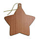 Star-shaped Christmas ornament with Nativity and angel, 3x3 in s2