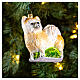 Long hair Chihuahua, 4 in, Christmas tree ornament, blown glass s2