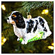 Cavalier King Charles Spaniel, 4 in, Christmas tree ornament, blown glass s2