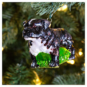 English bulldog, blown glass ornament for Christmas tree, 4 in