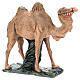 Camel in plaster, for 30 cm Arte Barsanti Nativity s4