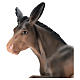 Arte Barsanti donkey 60 cm s2