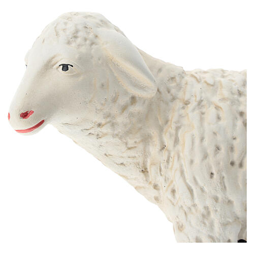Schaf für Krippe aus Gips für Krippen Arte Barsanti handbemalt, 60 cm 2