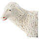 Schaf für Krippe aus Gips für Krippen Arte Barsanti handbemalt, 60 cm s2