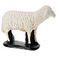 Schaf für Krippe aus Gips für Krippen Arte Barsanti handbemalt, 60 cm s4