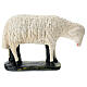 Schaf für Krippe aus Gips für Krippen Arte Barsanti handbemalt, 60 cm s1