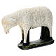 Schaf für Krippe aus Gips für Krippen Arte Barsanti handbemalt, 60 cm s3