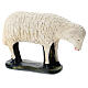 Schaf für Krippe aus Gips für Krippen Arte Barsanti handbemalt, 60 cm s4