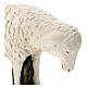 Statuina pecorella chinata presepe 60 cm Arte Barsanti s2