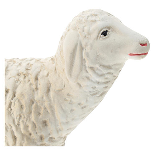 Schaf für Krippe aus Gips für Krippen Arte Barsanti handbemalt, 60 cm 2