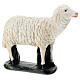 Figura owca spojrzenie w prawo, szopka Arte Barsanti 60 cm s4