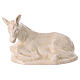 Natividad con bue y burro cerámica marfil 50 cm terracota Deruta s10