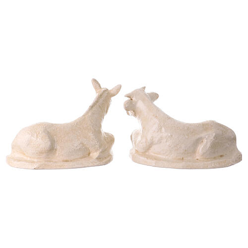 Nativité avec bœuf et âne en céramique ivoire rêche 50 cm terre cuite Deruta 13