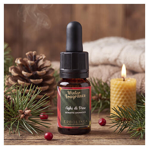 Raumduftöl mit Tropfpipette Winter Fragrance „Aghi di pino“ Erbolinea – 10 ml 2
