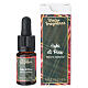 Raumduftöl mit Tropfpipette Winter Fragrance „Aghi di pino“ Erbolinea – 10 ml s1
