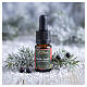 Spiced Blueberry essential oil with dropper Winter Fragrance Erbolinea 10 ml s2