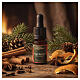 Winter Fragrance "Winter flavours" aromatic essential oil with dropper, 10 ml by Erbolinea s2