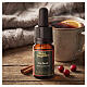 Winter Fragrance "Vin Brulé" - aromatyczny olejek zapachowy, Erbolinea, z kroplomierzem, 10 ml s2