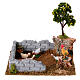Chicken coop with tree lemons nativity scene 8-12 cm 19x17x15 cm s1