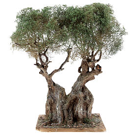 Realistic olive tree for Neapolitan Nativity scene real wood papier-mache h 20 cm