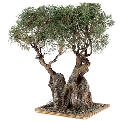 Realistic olive tree for Neapolitan Nativity scene real wood papier-mache h 20 cm 2