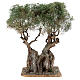 Realistic olive tree for Neapolitan Nativity scene real wood papier-mache h 20 cm s1