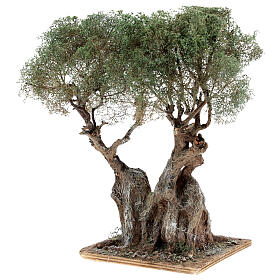 Albero ulivo realistico presepe napoletano legno cartapesta h reale 20 cm